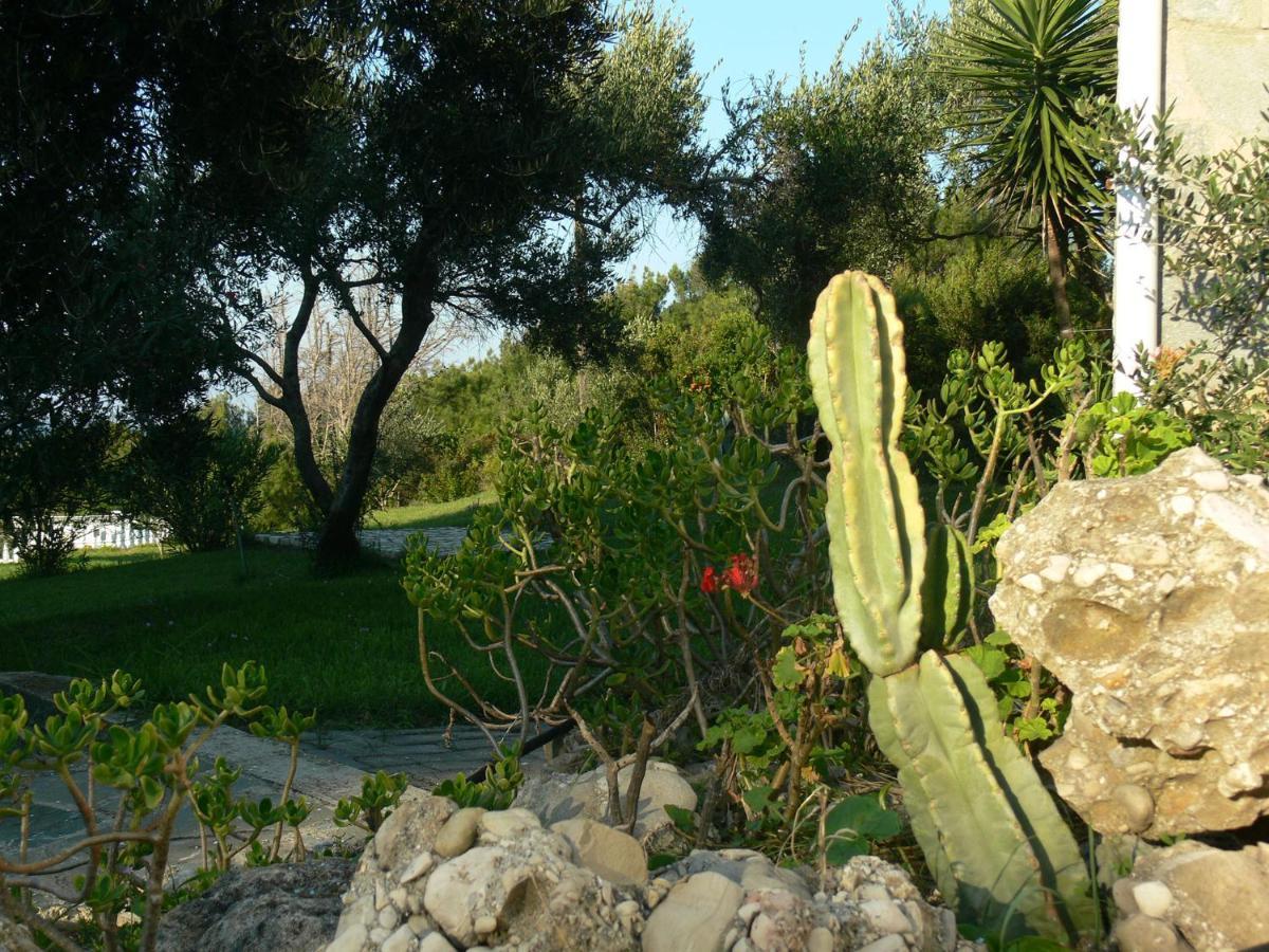 Villa Quietude Agios Stefanos Avliotes  Стая снимка